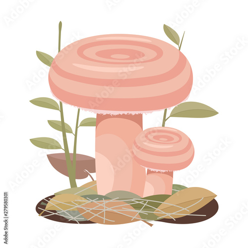 Two coral milky cap mushrooms grow on the ground