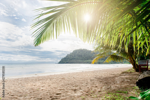 Palm and tropical beach