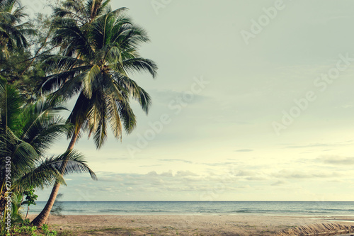 Palm and tropical beach