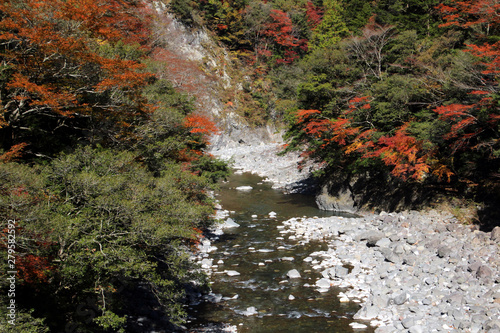 那賀川上流の紅葉