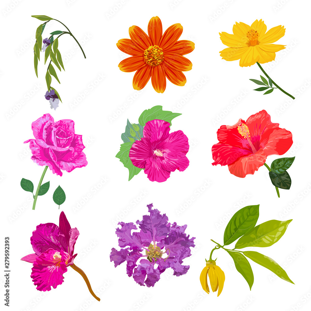 Colorful realistic flower isolated collection set on white background.
