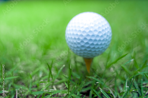 golf ball close-up in soft focus at sunlight with Green grass. wide landscape as background ,Sport playground for golf club concept.
