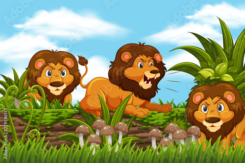 Lions in jungle scene