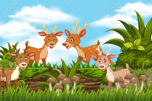 Elks in jungle scene