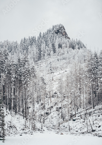 Foggy landscape of winter mountains. Tatra mountains. © Irina84