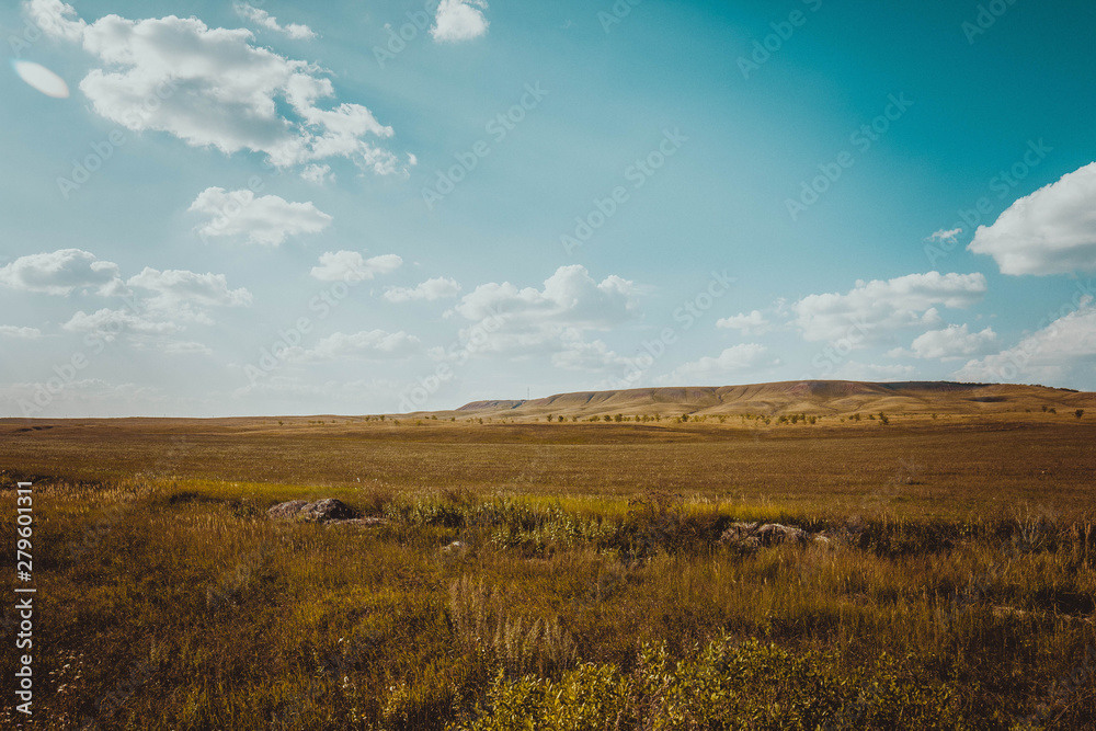 landscape with wheat field and blue sky