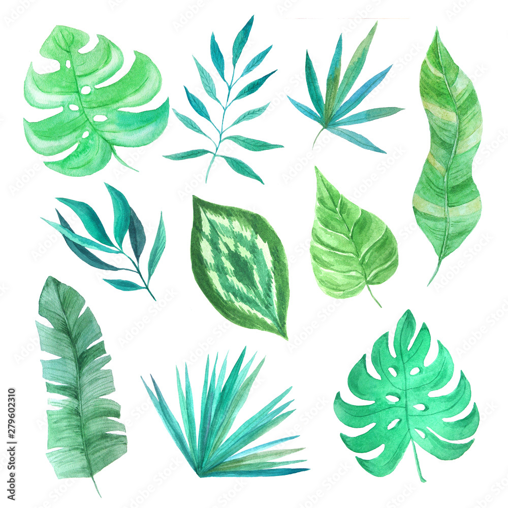 Watercolor tropical summer green leaves set Watercolor tropical summer green leaves set