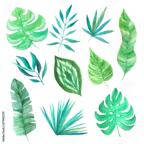 Watercolor tropical summer green leaves set