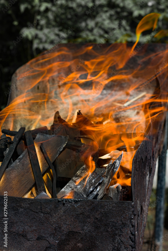 Flames of fire and smoke on a blurred background of nature. Flames of fire and smoke on a blurred background of nature.