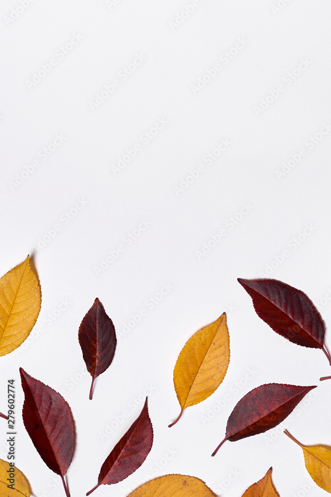 Autumn composition. Frame made of yellow and red leaves on white background. Fall concept. Autumn thanksgiving texture. Flat lay, top view, copy space