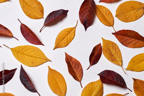 Autumn composition made of yellow and red leaves on white background. Fall concept. Autumn thanksgiving texture. Flat lay, top view, copy space