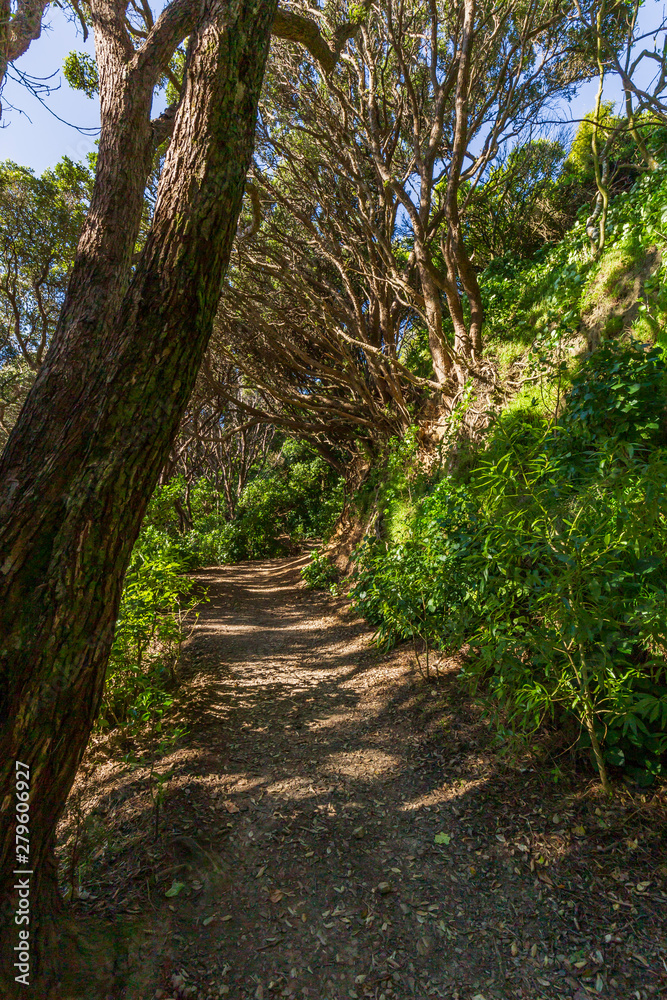 Path to Massey Memorial in Wellington, New Zealand Path to Massey Memorial in Wellington, New Zealand