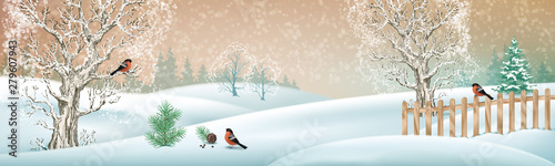 Christmas winter scene