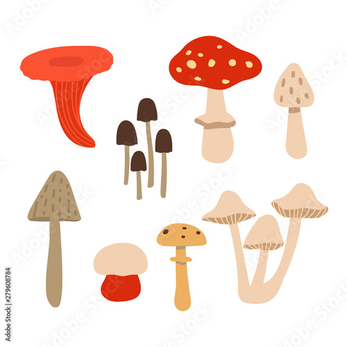 Set of poisonous mushrooms isolated on white background. Vector illustration in the style of flat
