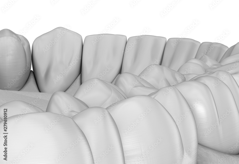 Maxillary human gum and teeth in white style. Medically accurate tooth 3D illustration Maxillary human gum and teeth in white style. Medically accurate tooth 3D illustration