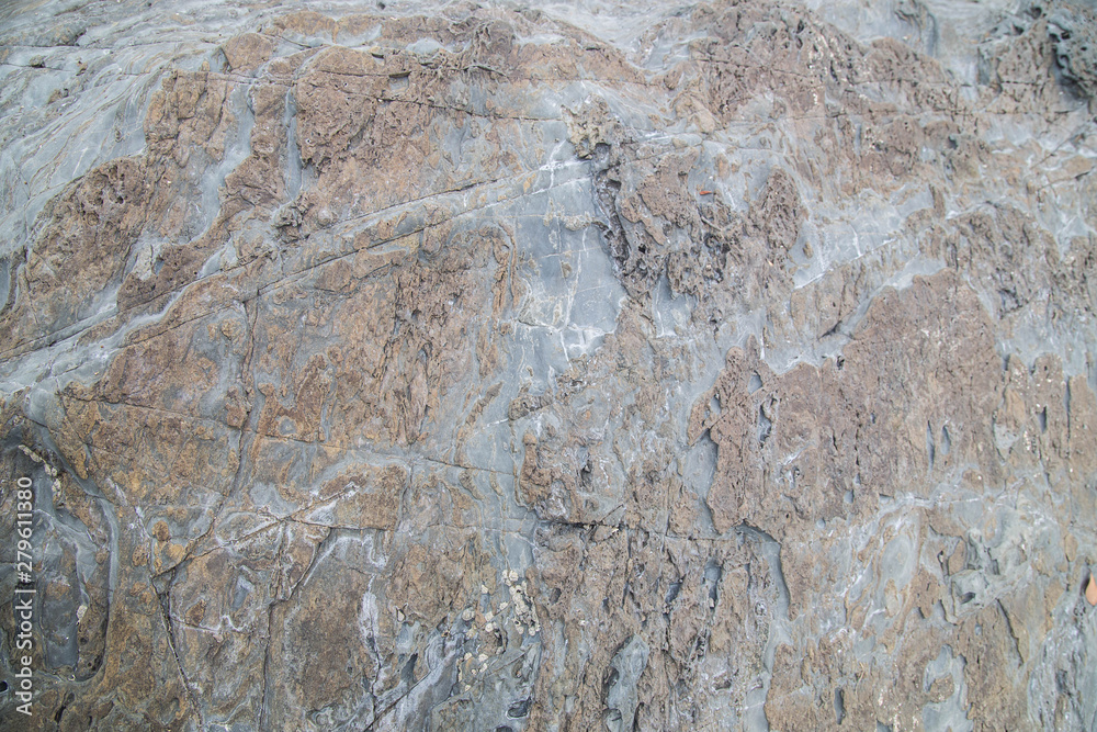 Obraz premium The detail texture stone/Nature stone background/ Rock the variety of colored and patterns/ Stone with cracks on the surface/