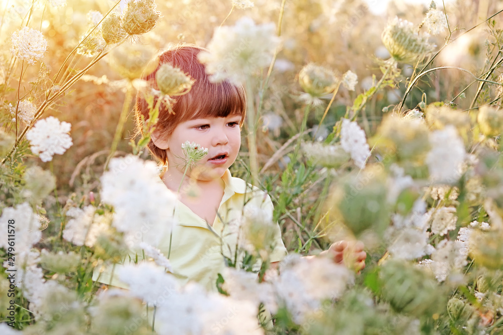Cute little boy hunting for butterfly in the wild summer meadow with wild white flowers at sunset. Summer lifestyle. Carefree childhood.