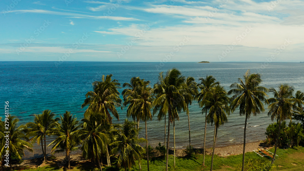 Landscape with coconut trees and turquoise lagoon, view from above. Seascape with palm trees and a pebbly beach, Philippines, Camiguin,aerial view.