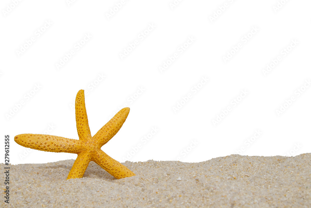 starfish in sand of the secluded beach starfish in sand of the secluded beach