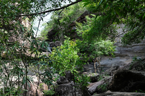 creek water stream waterfall flowing in forest