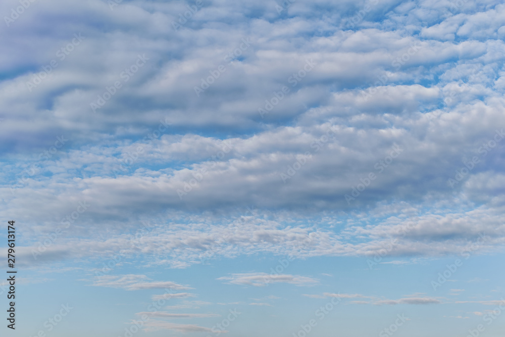 Fototapeta premium light fluffy clouds on a bright blue sky