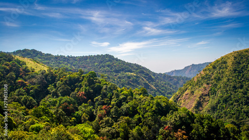 Jungles of Kerala