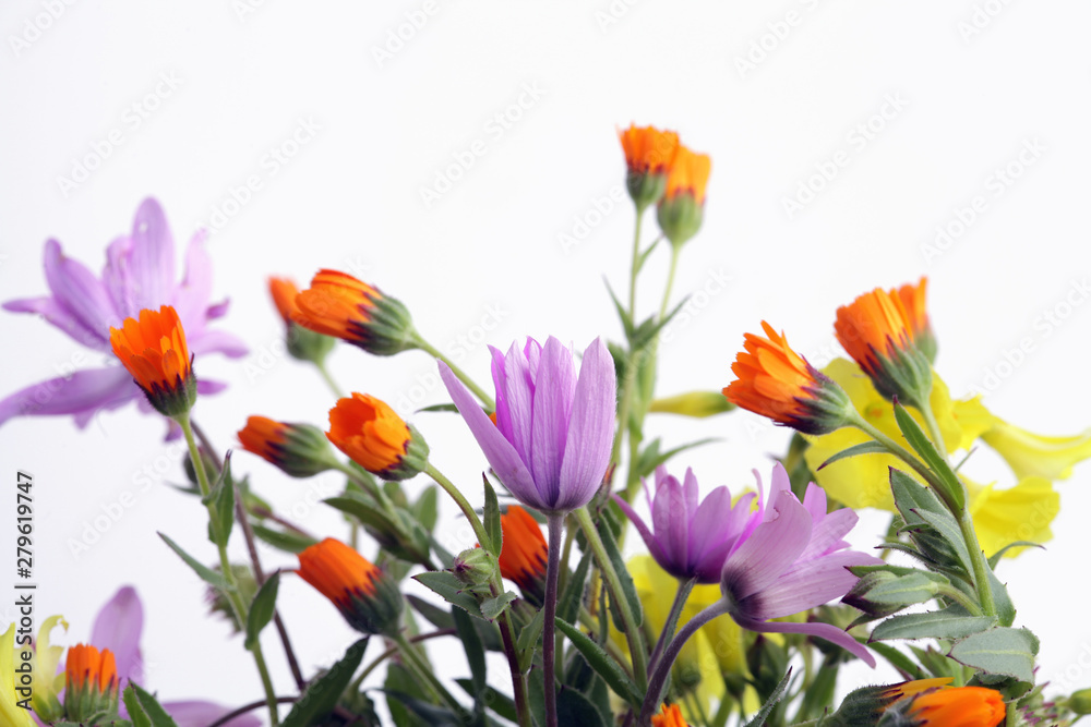 Bouquet of spring flowers on a white background Bouquet of spring flowers on a white background