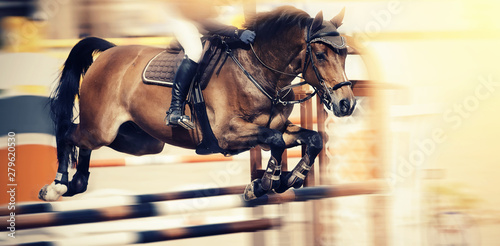 Fotografie, Tablou The brown horse overcomes an obstacle.Show jumping