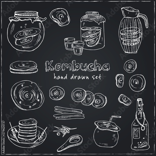 Kombucha homemade tea collection. Vector hand drawn illustration