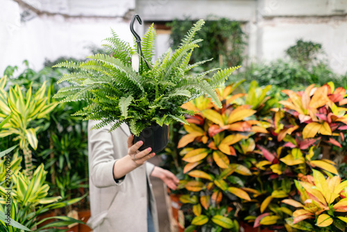 Photography A young woman holding a Nephrolepis plants, fern, chooses a plant for the house