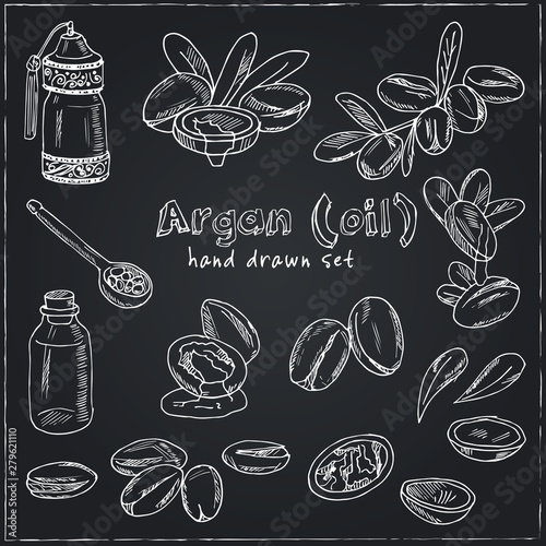 Vector set on Argan, its fruits and its application. Argan oil hand drawn doodle set. Vector illustration. Isolated elements. Symbol collection.