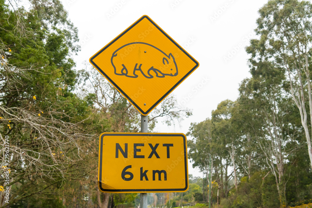 View over the traffic road and wombat yellow road sign in Australia
