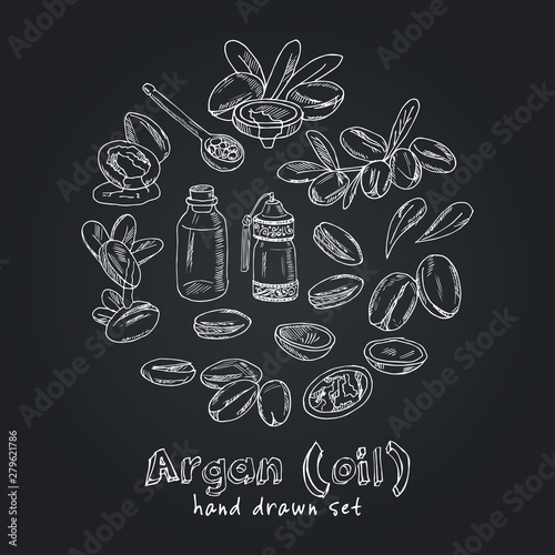 Vector set on Argan, its fruits and its application. Argan oil hand drawn doodle set. Vector illustration. Isolated elements. Symbol collection.