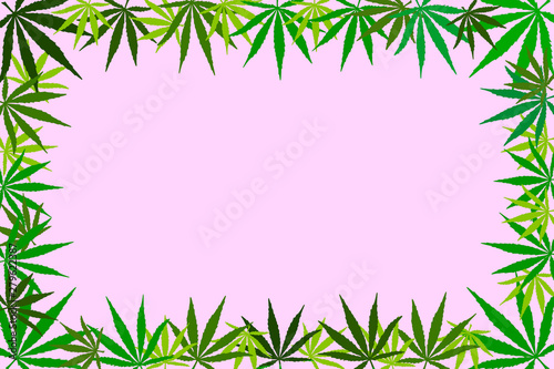  Frame of hemp leaves. Flat illustration  mock up  copy space.