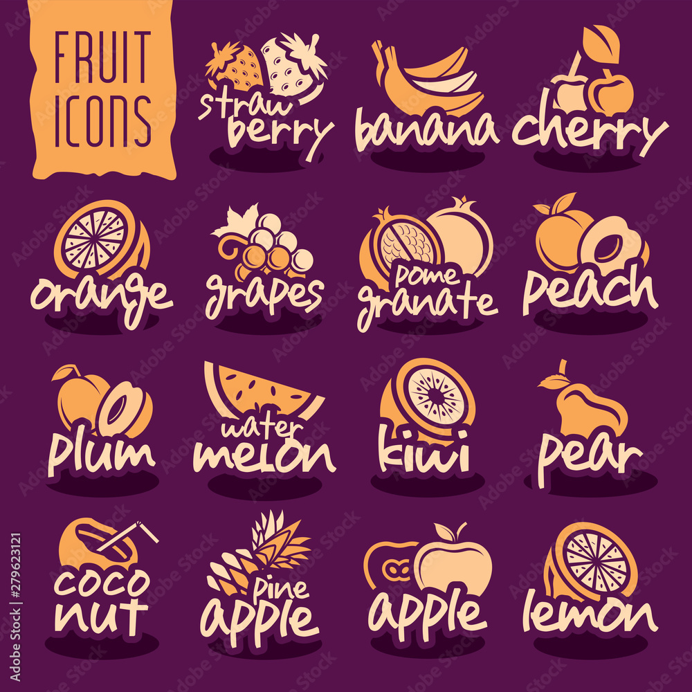 Ready design vector fruit icon set