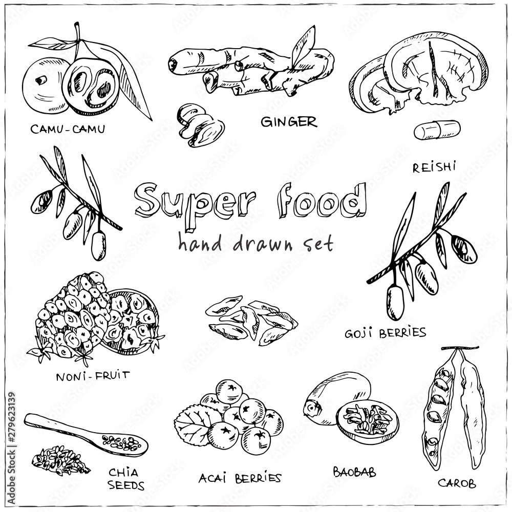 Hand drawn doodle super food. Vector illustration. Isolated elements on Symbol collection.
