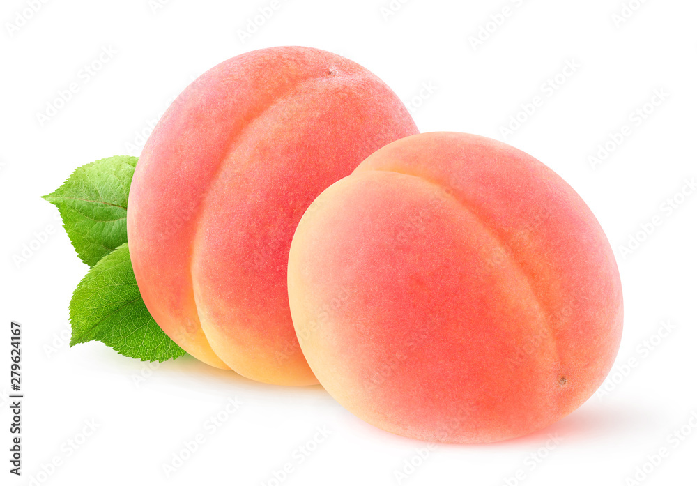 Isolated apricots. Two fresh pink apricot fruits isolated on white background with clipping path Isolated apricots. Two fresh pink apricot fruits isolated on white background with clipping path