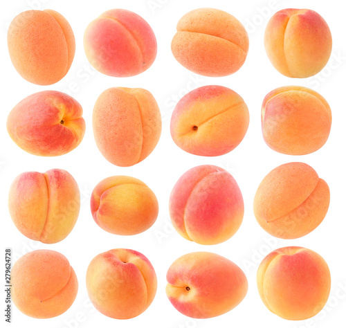 Isolated apricot fruits. Collection of apricots isolated over white background with clipping path