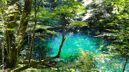 Juniko Twelve Lakes in the Shirakami-Sanchi mountainous area. A UNESCO World Heritage Site in the Tohoku region. Aomori Prefecture, Japan photo