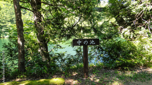 Juniko Twelve Lakes in the Shirakami-Sanchi mountainous area. A UNESCO World Heritage Site in the Tohoku region. Aomori Prefecture, Japan photo