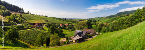 Wide hires panoramic landscape view of Black Forest vineyard valley