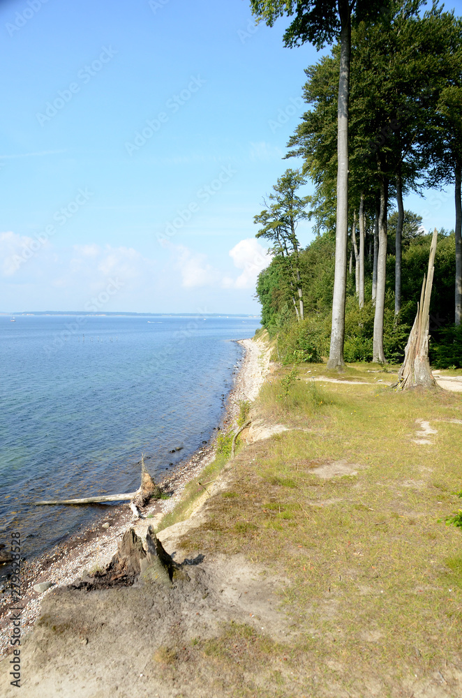 View along a coast with steep erosion slopes.