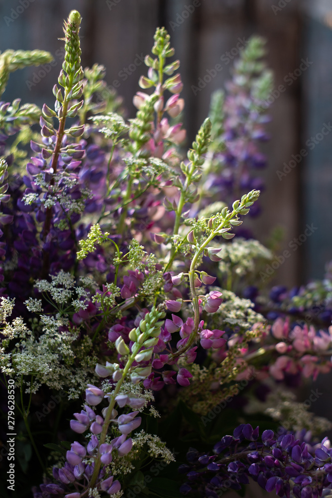 Obraz premium bouquet of wild lupins