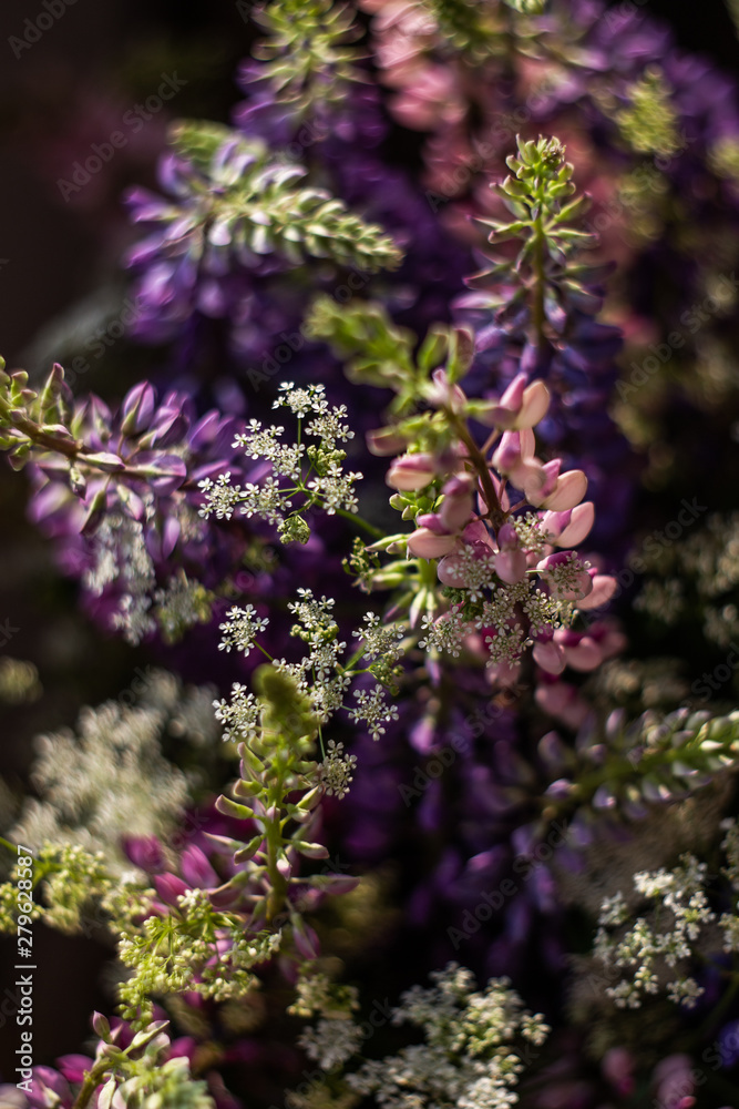 Obraz premium bouquet of wild lupins