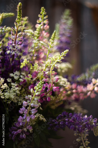 bouquet of wild lupins