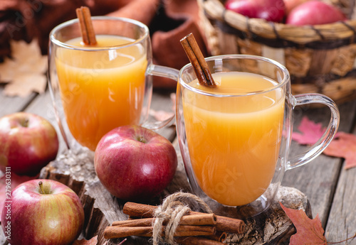 Slika na platnu Cup of Apple Cider With Cinnamon Stick