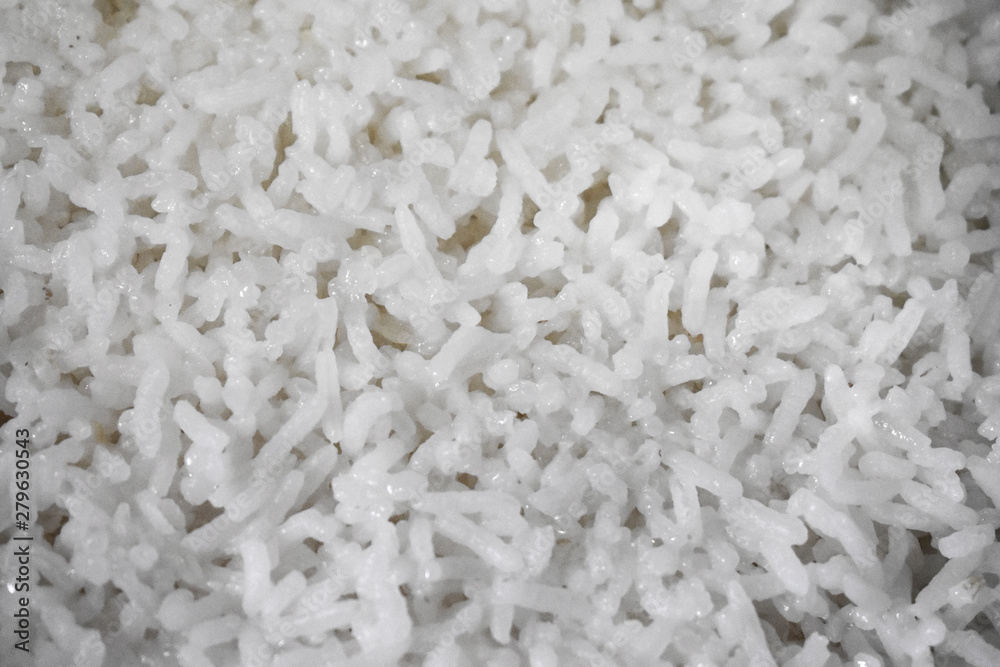 background of white rice