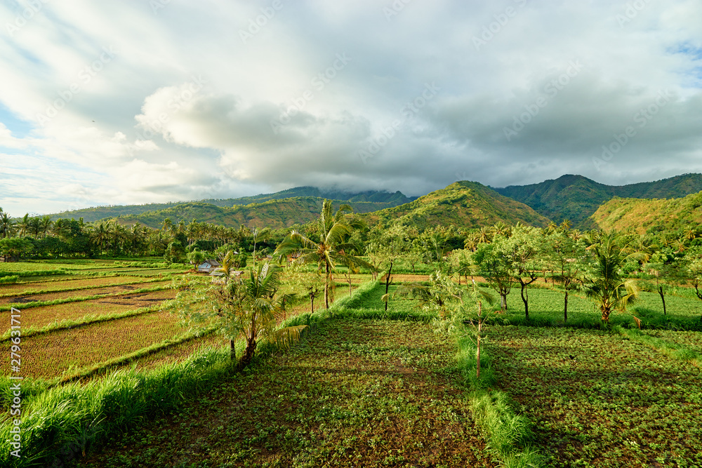 A beautiful view on a vast green vale in Indonesia