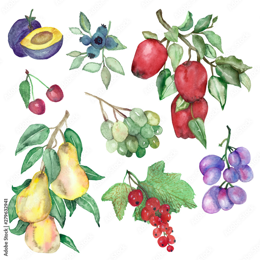 Set of watercolor fruits and berries isolated on white background. Hand-painted on paper, autumn illustration for beautiful menu design, labels, cards, invitations, banners. Set of watercolor fruits and berries isolated on white background. Hand-painted on paper, autumn illustration for beautiful menu design, labels, cards, invitations, banners.