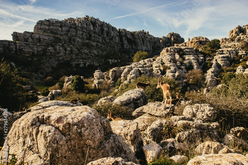 Karst landscape in El Torcal de Antequera, Spain photo